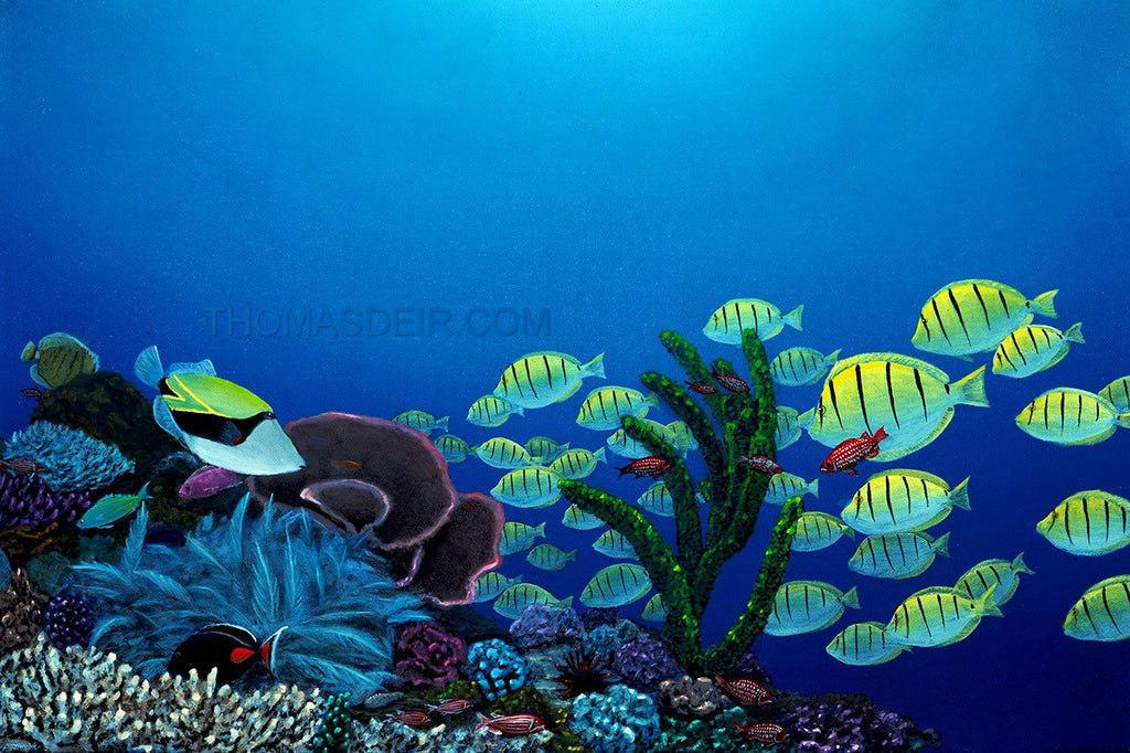 Humuhumu a Maninis Painting by Hawaii Artist