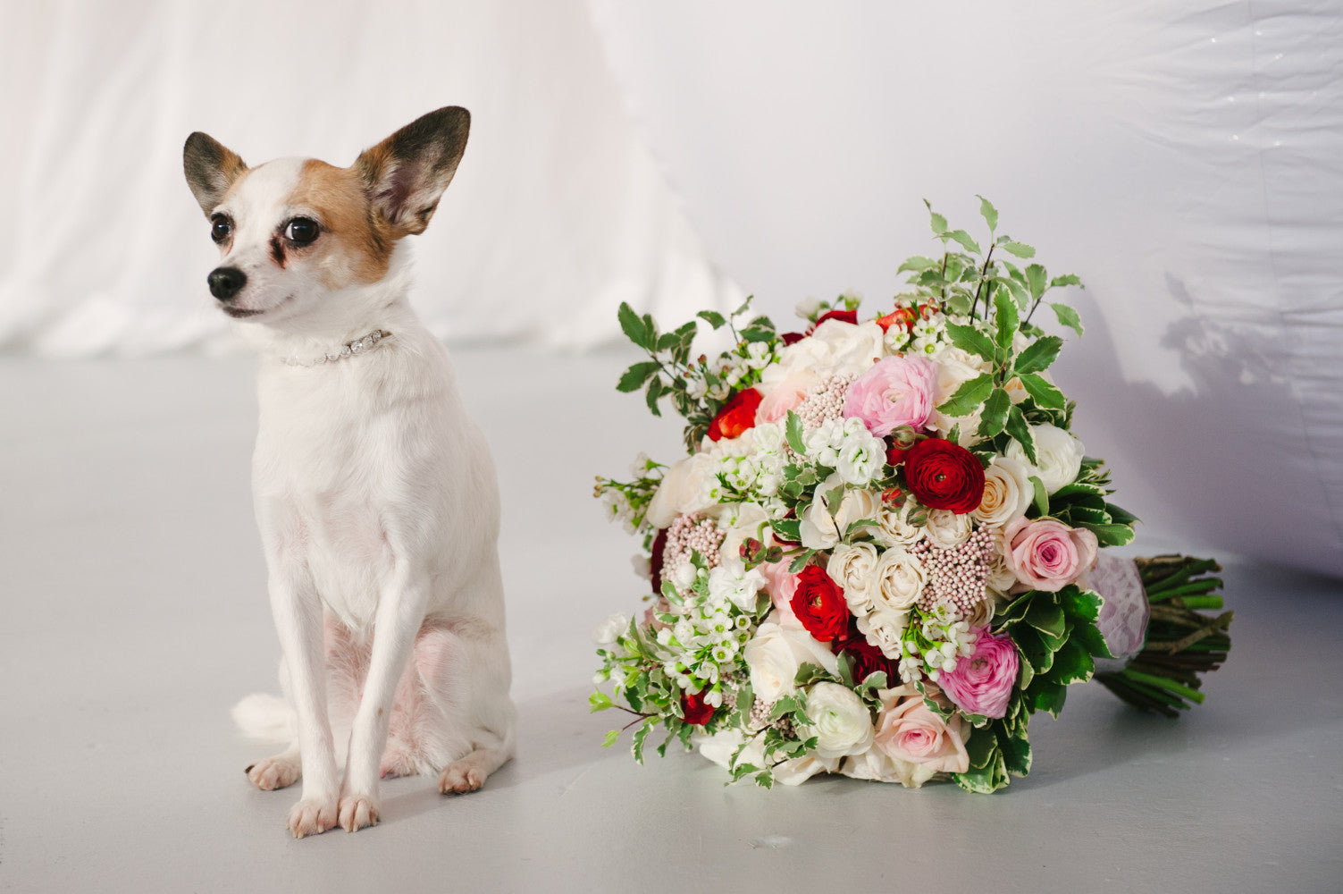 online flower bouquets with pet