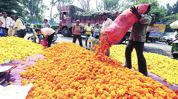 pune wholesale flower market