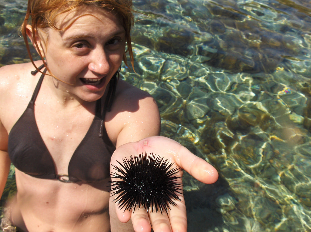Sardinian Urchins