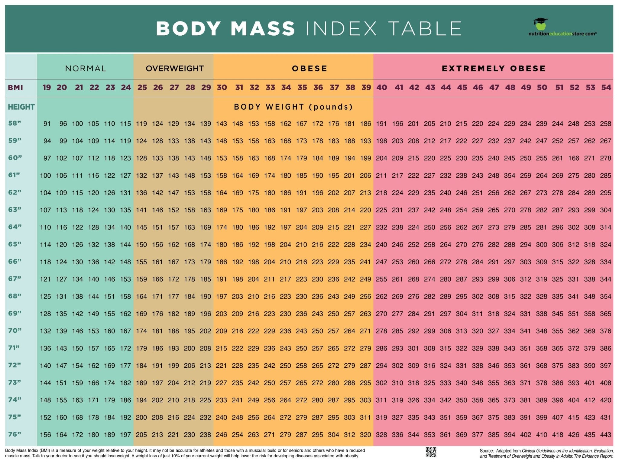 BMI Chart Poster - Body Mass Index Poster x 24" Poster Laminated