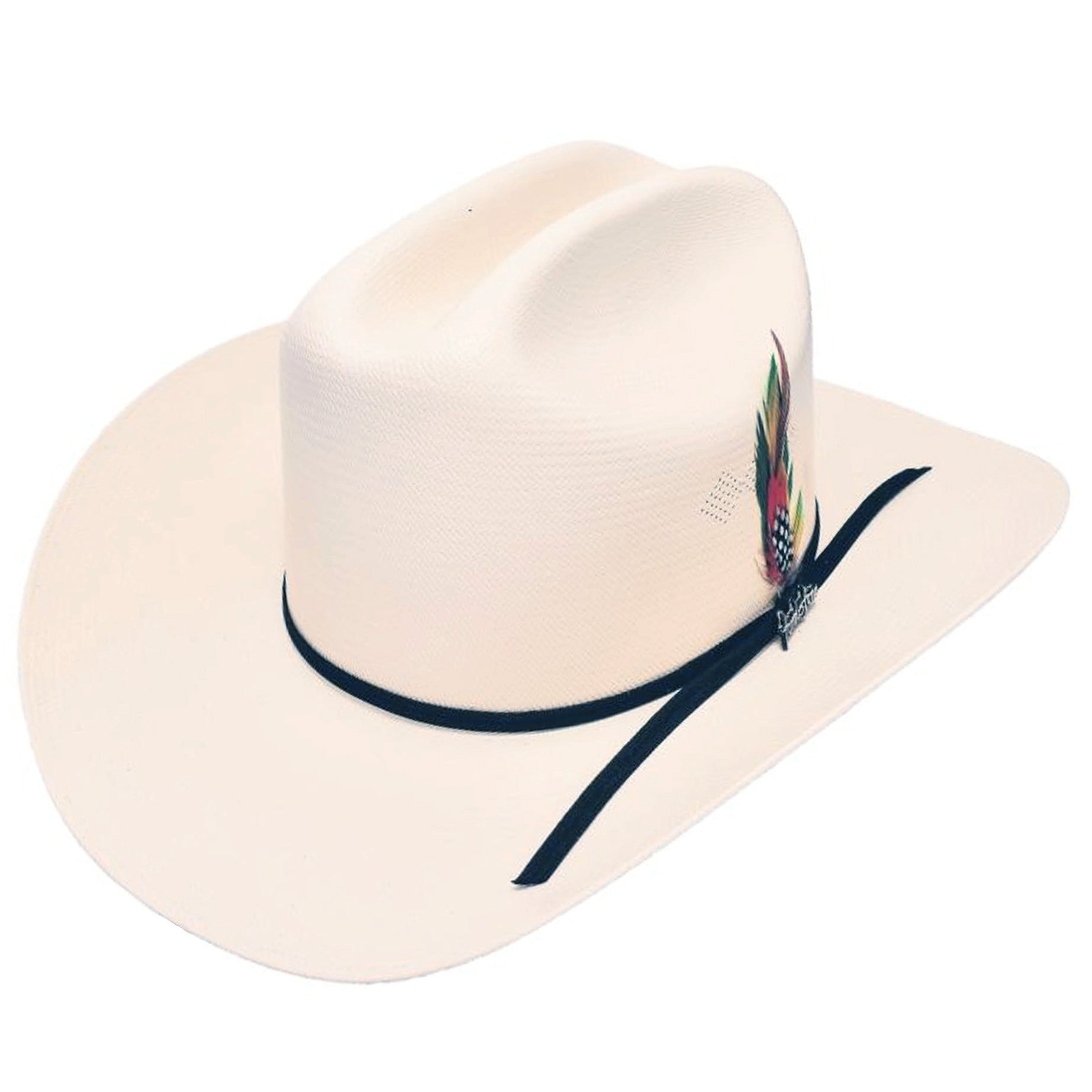 100x Cowboy Hat - Chaparral