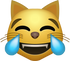 Download Tear Cat Emoji face [Iphone IOS Emojis in PNG]
