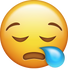 Download Snoring Iphone Emoji Image