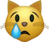 Download Crying Cat Emoji face [Iphone IOS Emojis in PNG]