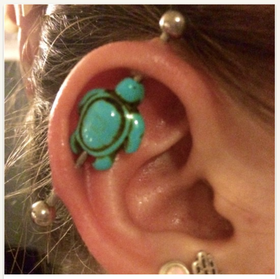 Turquoise Cute Turtle Industrial 