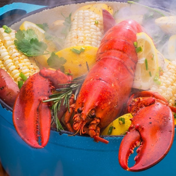 Maine Streamed Lobster Bake Recipe | Maine Lobster Bake Recipe - Crazy