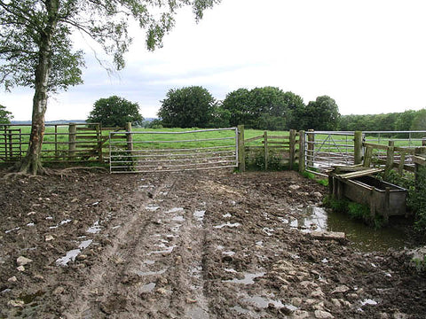 Mud is bad for Spring pasture management