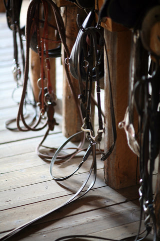 tack room cleaning for spring barn project