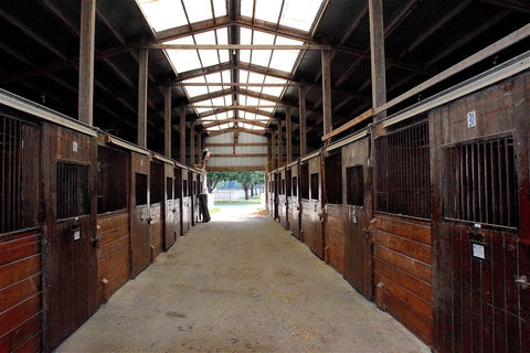 Good ventilation for good living conditions for healthy horses