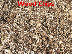 Wood Chips are a popular paddock footing material, learn about the pros and cons in the complete guide to footing paddock from Lighthoof.