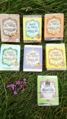 Knotty Boy All Purpose Shampoo Bar Collection