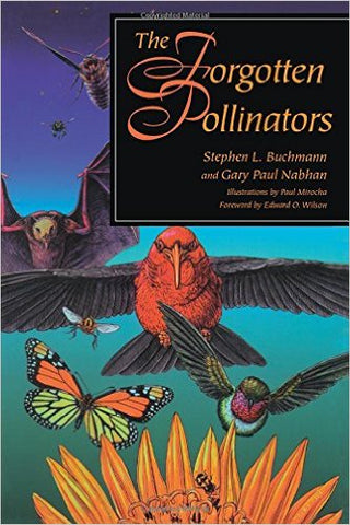 The Forgotten Pollinators bookcover