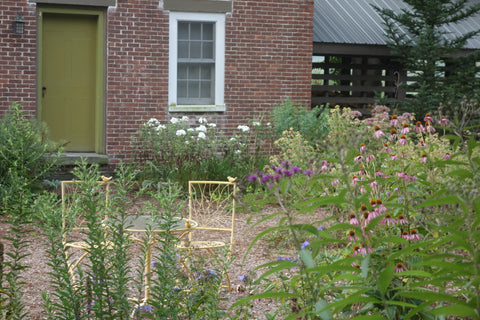 Create places for humans to observe the pollinators in action