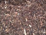 If you have mulched your pollinator garden, you will likely need to put a fresh layer of mulch the first couple years, until the plants have truly filled in.