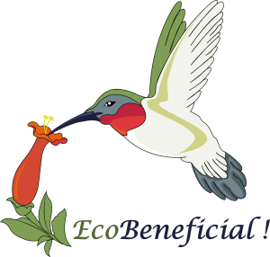 EcoBeneficial! links