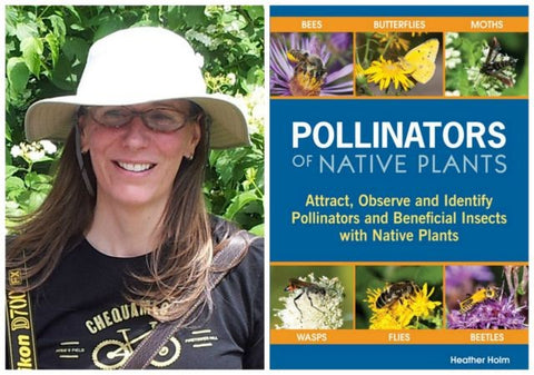 Pollinators of Native Plants bookcover