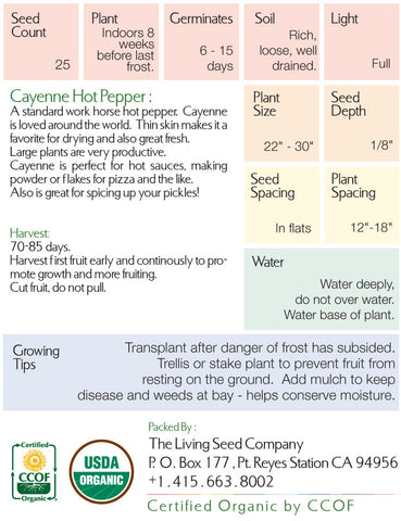 Organic Cayenne Hot Pepper (Capsicum annuum) Seed Packet