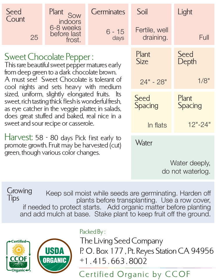 Organic Sweet Chocolate Pepper Seed Packet