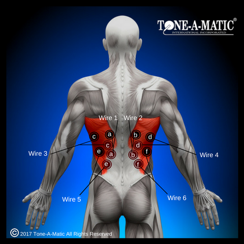 electrode pad placement chart for latissimus dorsi