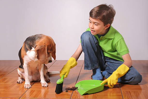 how do i clean the floor of my dogs poop