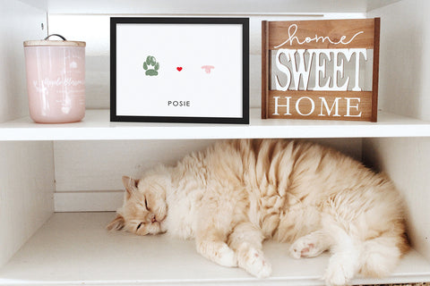 cat sleeping on shelf under personalized paw and nose print artwork