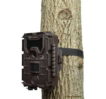 Bushnell Aggressor No Glow Trail Camera