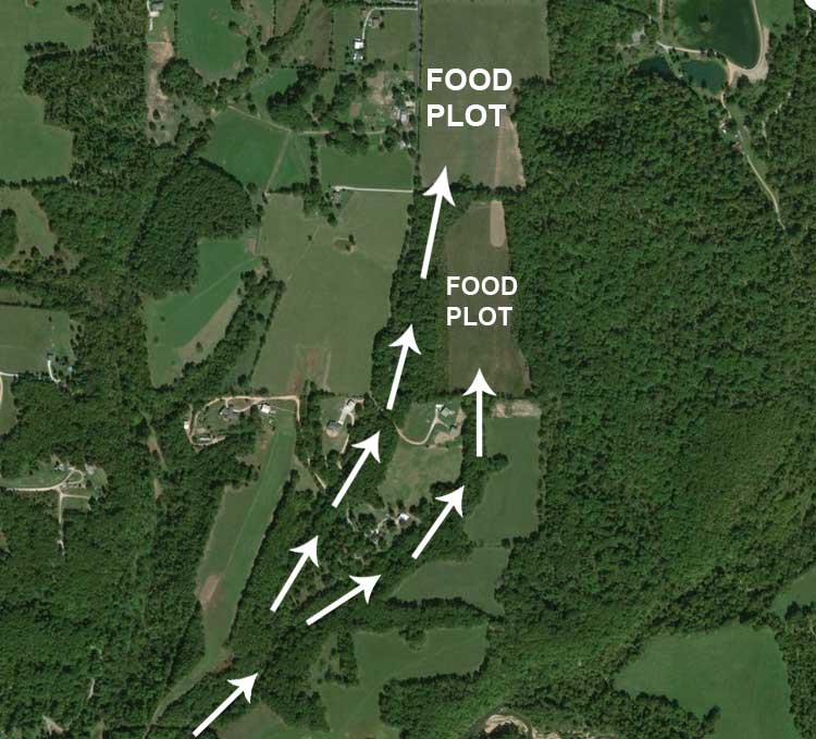 map of how to use trail cameras to track game width="750" height="679"