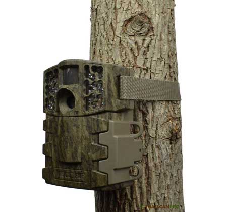 Moultrie M888 tree view