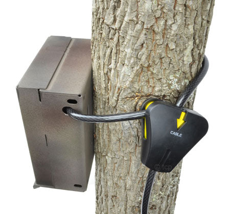 security case and python lock for trail cameras