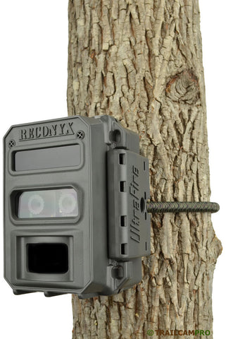 reconyx xr6 on a tree