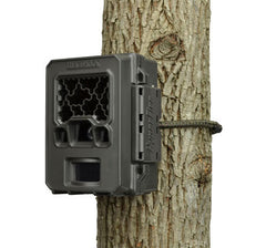 security trail camera mount