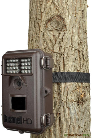 bushnell trophy cam review