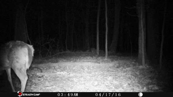 Trigger speed test for trail cameras width="600" height="338"
