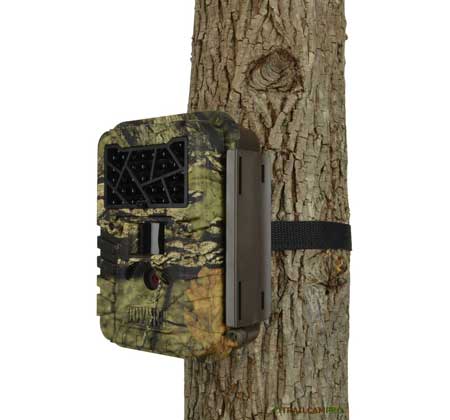 Covert night stalker trail camera review