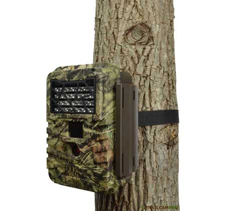 Covert night stryker trail camera review