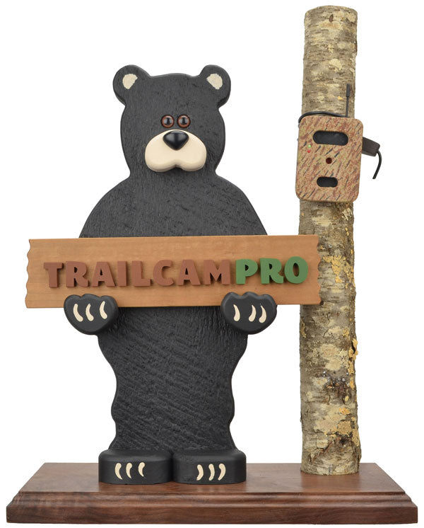trailcam bear