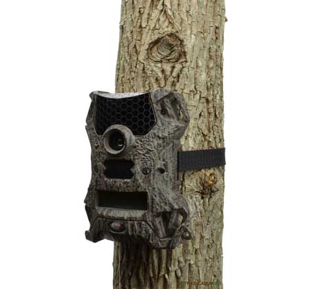 Wildgame Vision 8 trail camera