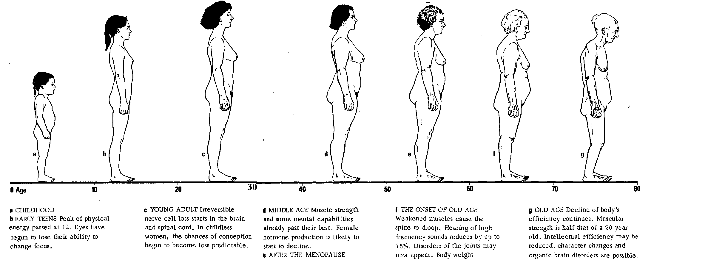 Our body shapes change with age