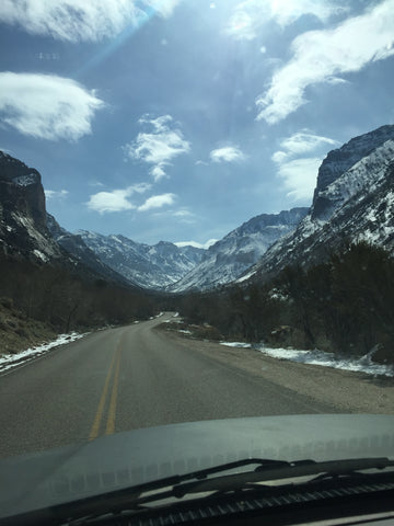 Lamoille Canyon Ruby Mountains, Nevada