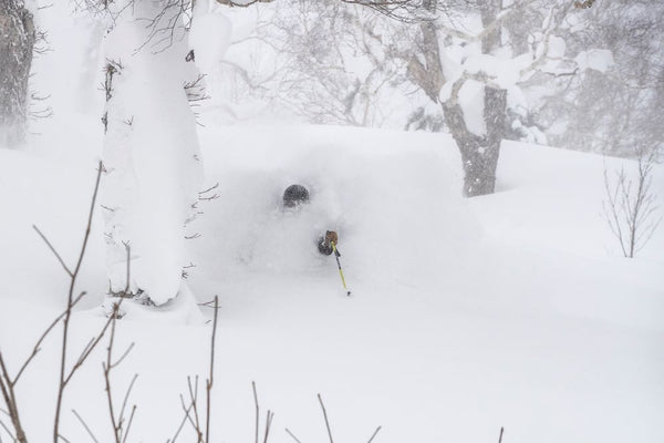 Mike Meza deep powder japan 2019 hokkaido daymaker touring