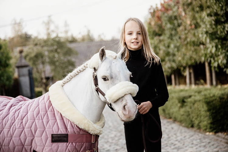 kentucky horsewear show rug
