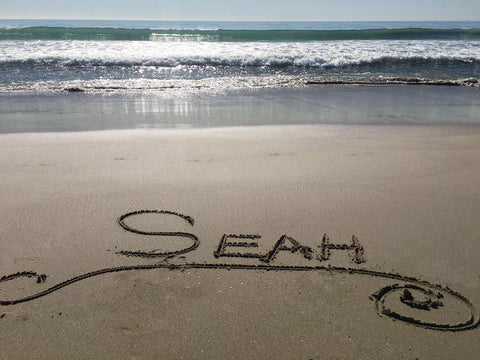 What is your elemental sign? SEAH® designs beach logo