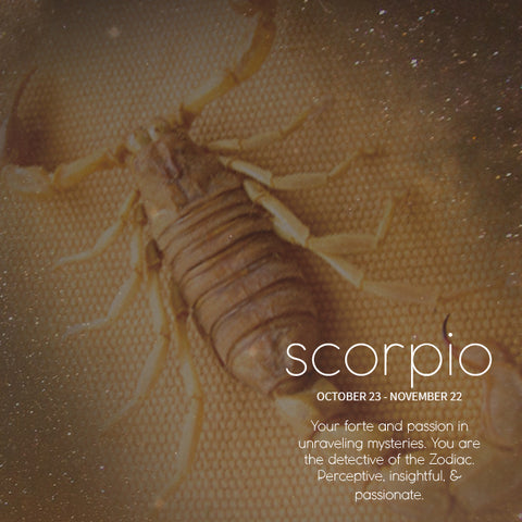 SEAH® Designs Scorpio Monthly Horoscope Birthday Reading