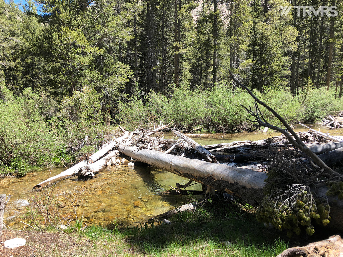 Entering Vidette Creek Basin  via Bubbs Creek Crossing - Kings Canyon National Park | TRVRS APPAREL