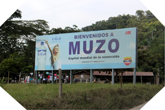 Muzo