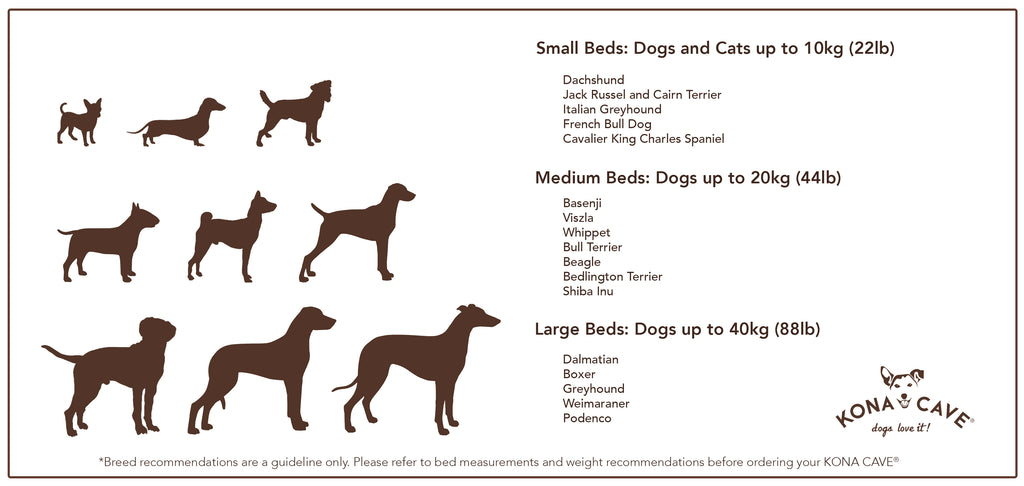 Weimaraner Puppy Growth Chart