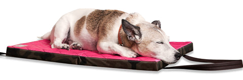 KONA CAVE Padded Travel Dog Bed, foldable, lightweight, easy to carry, stylish, dogs love them