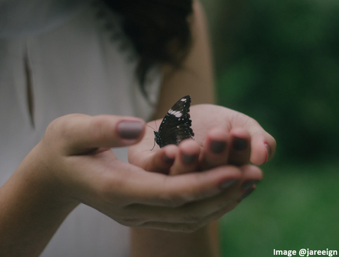 a brunette woman's hands cupped together holding a black butterfly
