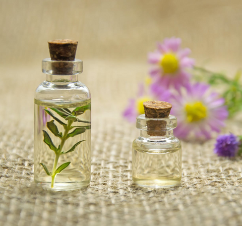 clear corked glass bottles of oil with green plant leaves inside them